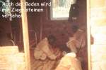 bild26.jpg --- erstellt mit  - www.abbe-felix.de